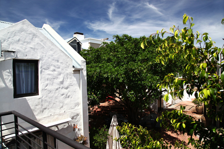 Others 4, Los Olivos at The Yard, Cape Winelands