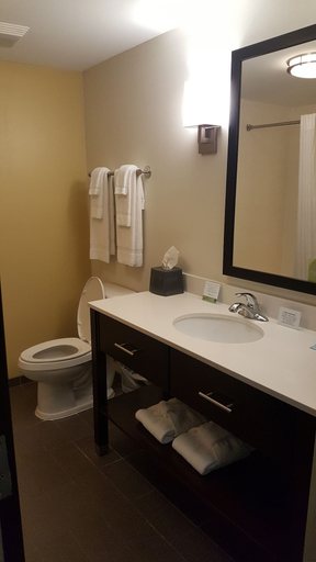 Bathroom 4, Sleep Inn & Suites Jasper I-22, Walker
