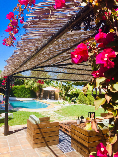 Food & Drinks 5, Villa Pinos Malaga, Málaga