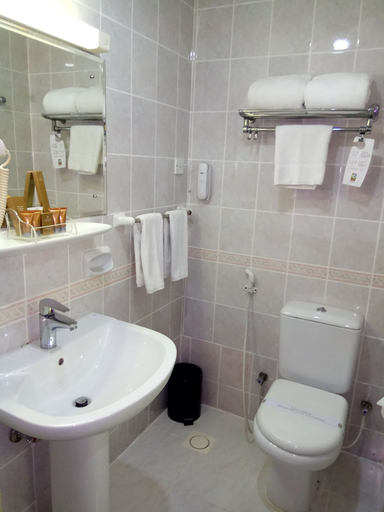 Bathroom 5, Landmark Plaza Hotel, Dubai