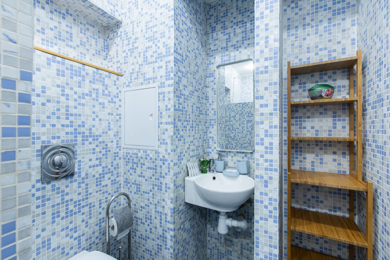 Bathroom 2, GoodAps Zatsepa 22, Central
