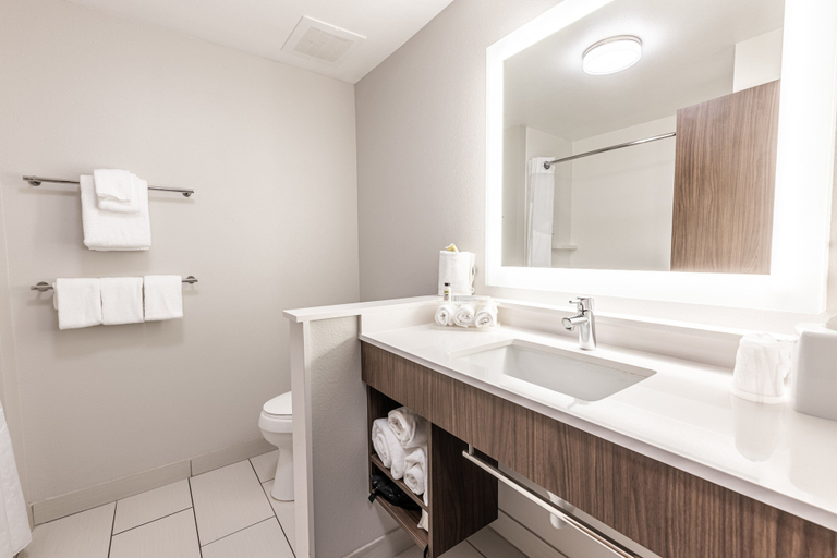 Bathroom 5, Holiday Inn Express & Suites RANTOUL by IHG, Champaign