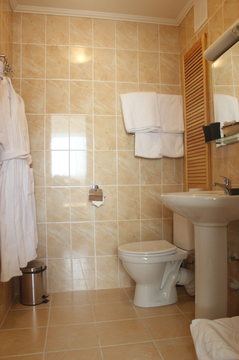 Bathroom 3, Metallurg Hotel, Northern