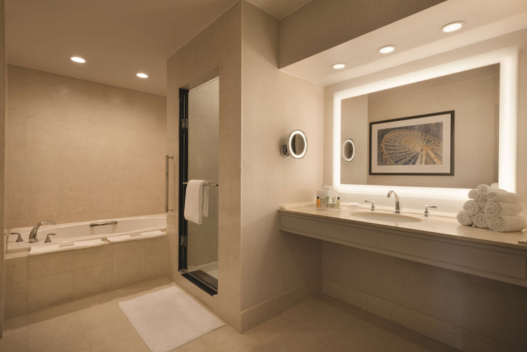 Bathroom 5, Hilton Chicago/Magnificent Mile Suites, Cook