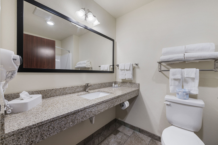 Bathroom 4, Cobblestone Hotel & Suites - Urbana, Champaign