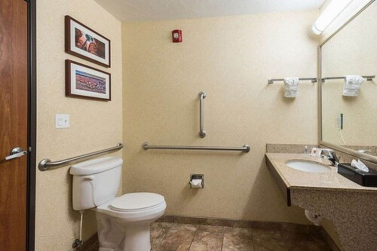 Bathroom 4, Comfort Inn & Suites Cedar City South, Iron