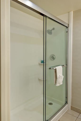 Bathroom 5, Holiday Inn Express NEWPORT BEACH by IHG, Orange