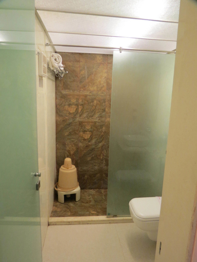 Bathroom 4, Hotel Sunny International, Satara