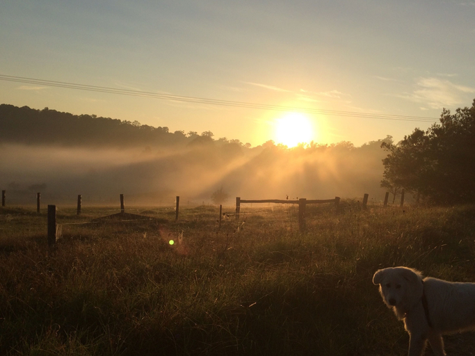 Others 5, Bryn Glas Farm Stay, Eurobodalla