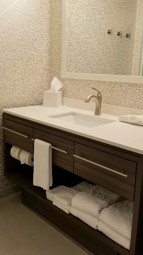 Bathroom 4, Home2 Suites by Hilton Fernandina Beach Amelia Island, FL, Nassau