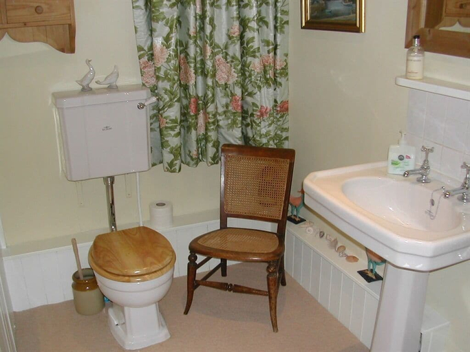 Bathroom 4, Alltybrain Farm Cottages, Powys
