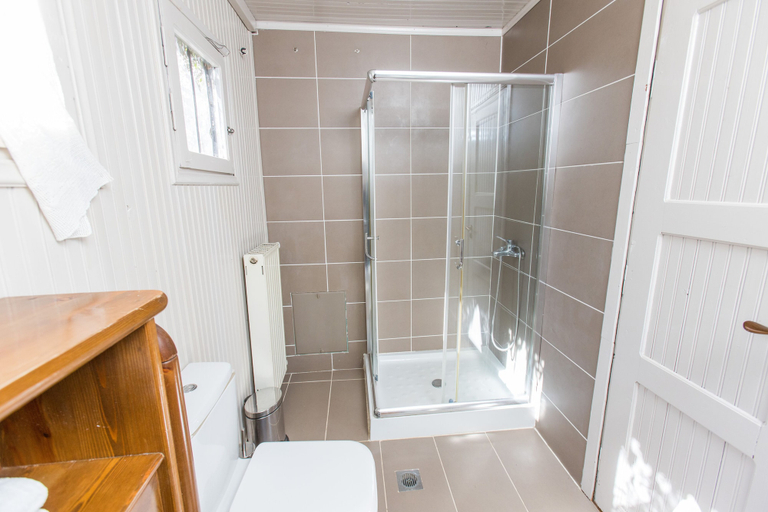 Bathroom 2, Raise Polydrosos Mountain stay, Central Greece