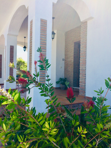 Exterior & Views 2, Villa Pinos Malaga, Málaga