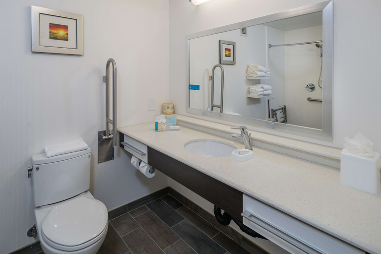 Bathroom 5, Hampton Inn Livermore, Alameda