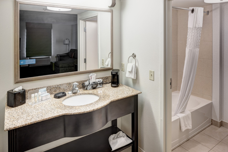 Bathroom 4, Hampton Inn & Suites Gainesville-Downtown , Alachua