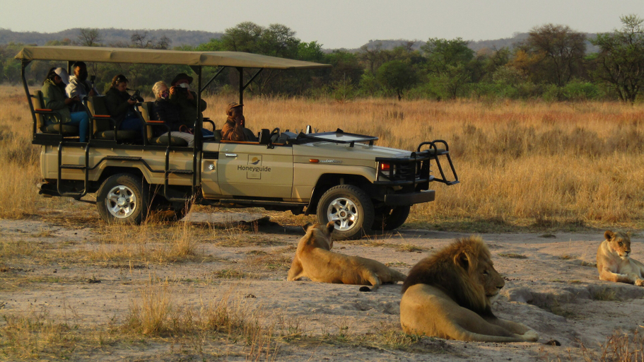 Others 1, Honeyguide Ranger Camp, Waterberg
