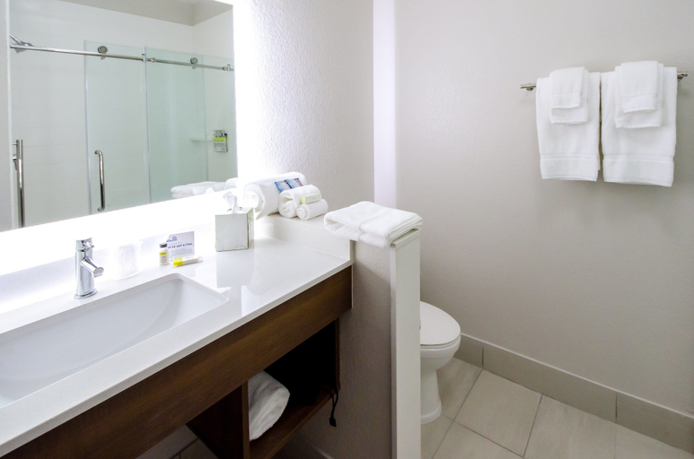 Bathroom 4, Holiday Inn Express & Suites TAYLOR by IHG, Williamson