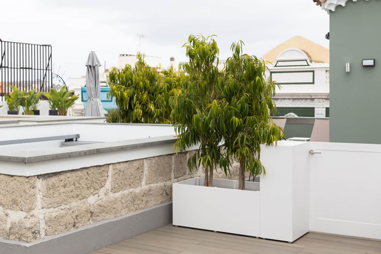 Bathroom 4, Suites 1478, Las Palmas