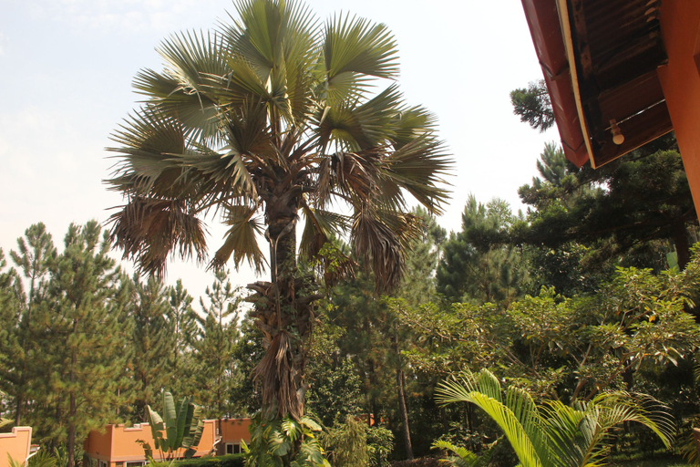 Others 5, Saltek Forest cottages, Buruli