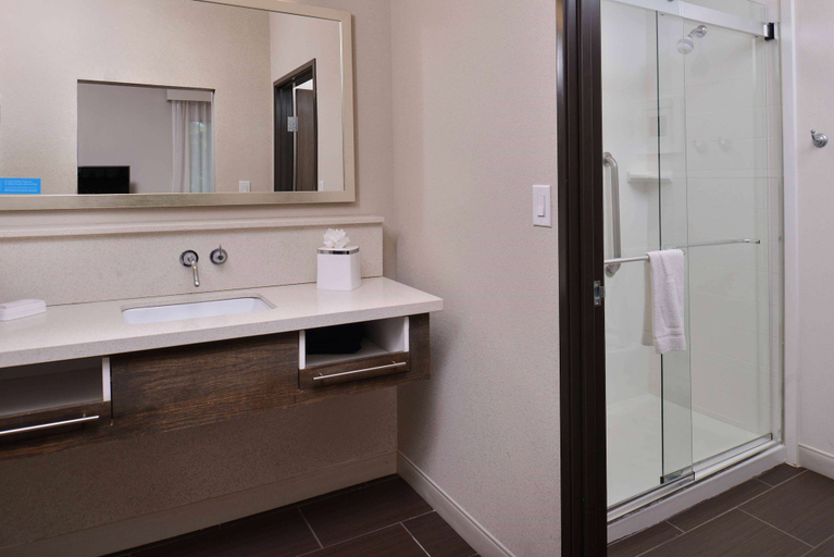 Bathroom 4, Hampton Inn & Suites Dallas Market Center, Dallas