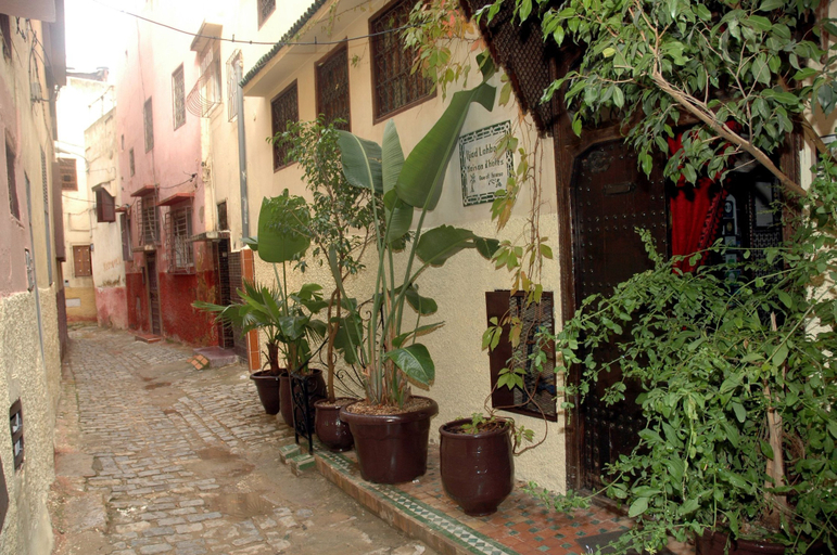 Others 5, Riad Lahboul, Meknès