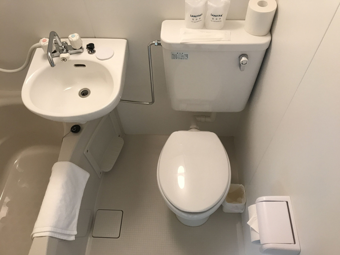 Bathroom 3, Fuji Sansuikan, Fujikawaguchiko