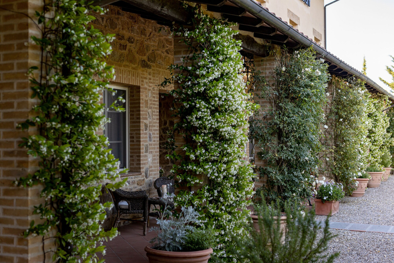 Exterior & Views 2, SI Montalcino Hotel, Siena