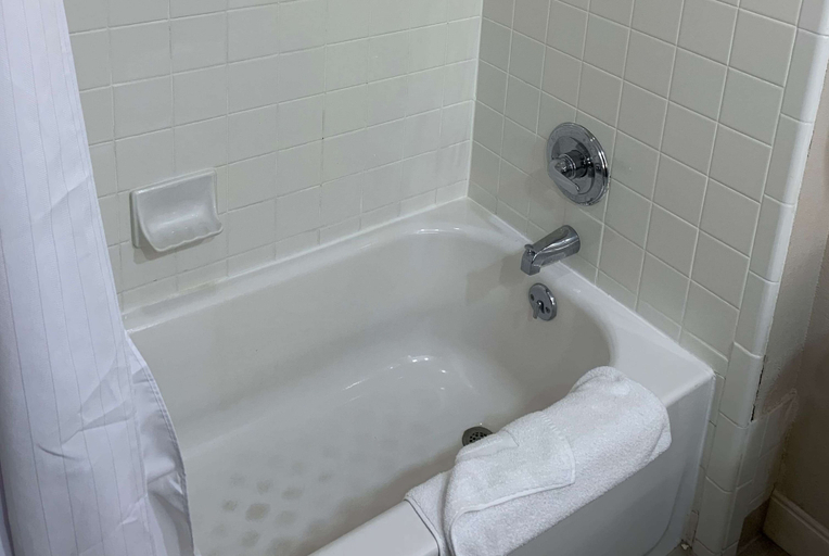 Bathroom 3, Wingate by Wyndham Brighton, Livingston