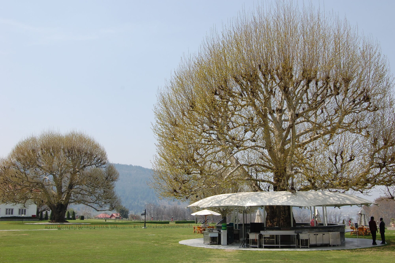 Exterior & Views 2, The Lalit Grand Palace Srinagar, Srinagar