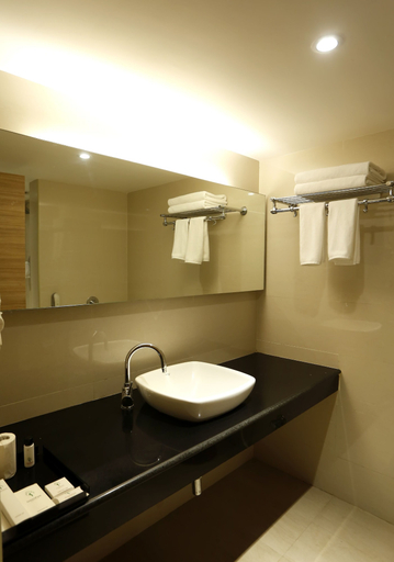 Bathroom, Greenpark Hotel, Visakhapatnam