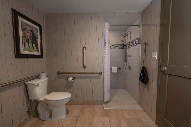 Bathroom 4, Embassy Suites Saratoga Springs, Saratoga