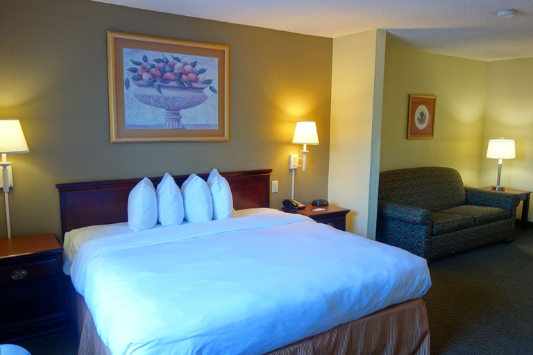 Bedroom 4, Country Inn & Suites by Radisson, McDonough, GA, Henry
