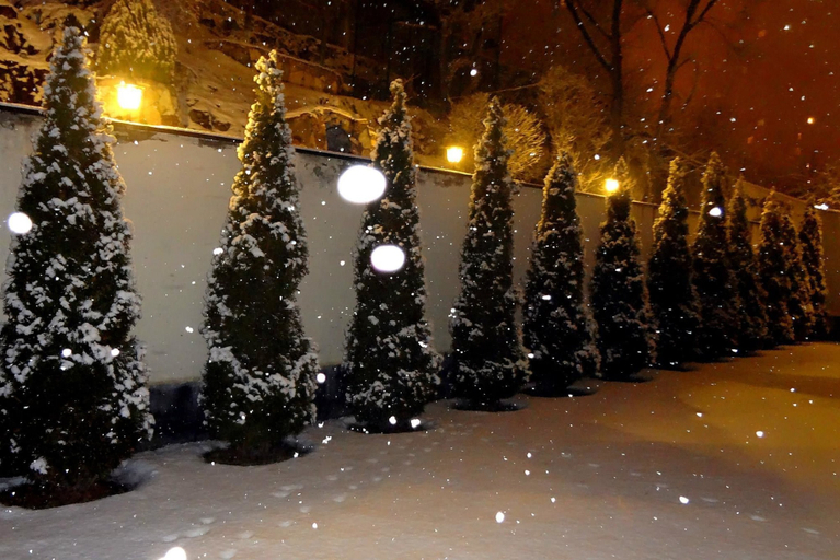 Exterior & Views 2, Park Avenue Hotel, Yerevan