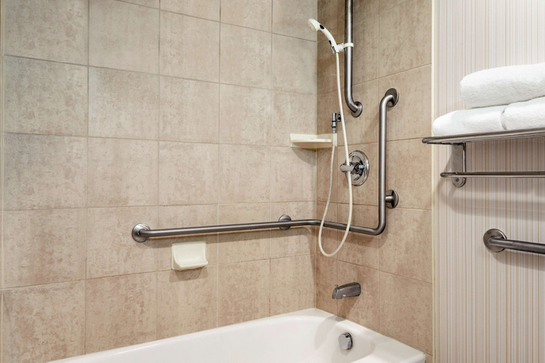 Bathroom 4, Hilton Garden Inn Saskatoon Downtown, Division No. 11