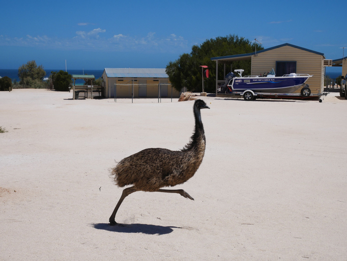 Exterior & Views 2, Tasman Holiday Parks – Denham Seaside, Shark Bay