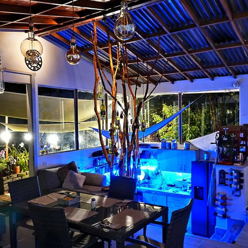 Food & Drinks
