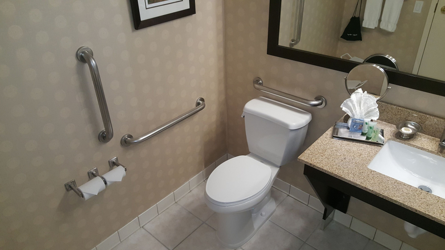 Bathroom 5, Wyndham Minneapolis South/Burnsville, Dakota