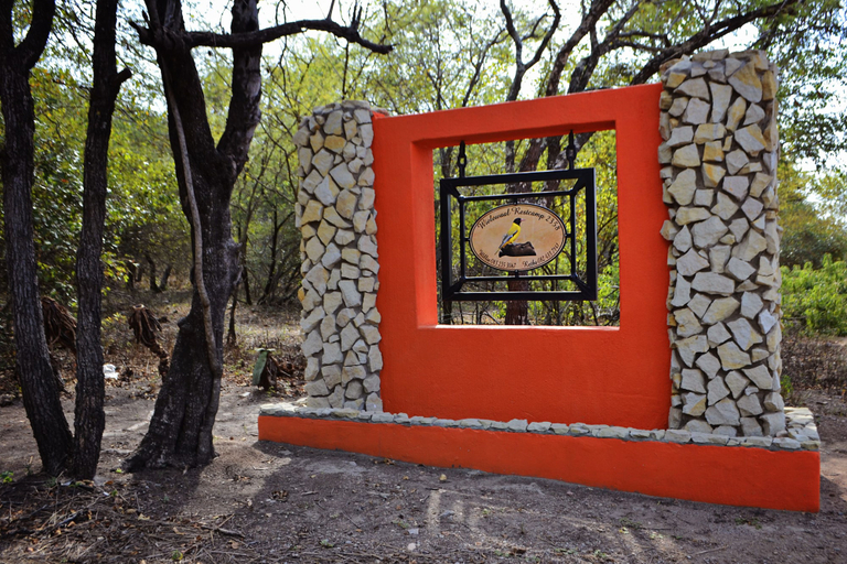 Exterior & Views 2, Wielewaal Bush Lodge, Ehlanzeni