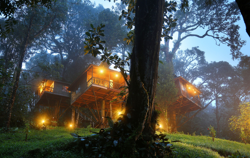 Others 1, Nature Zone Jungle Resort, Idukki