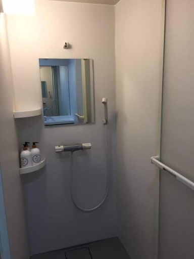 Bathroom 4, The Little Garden, Miyazaki