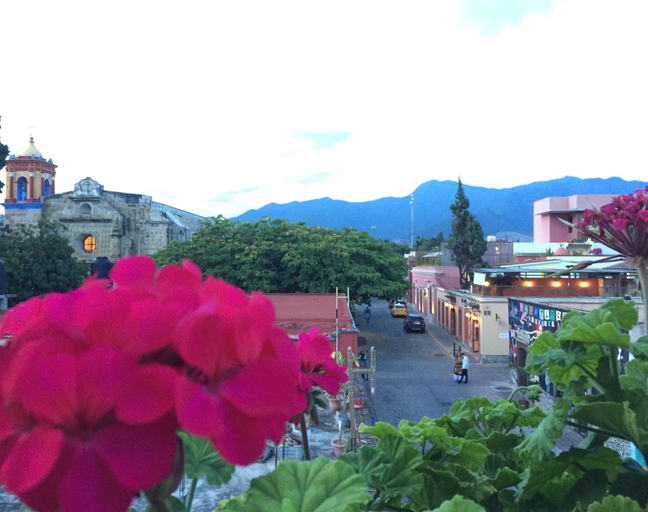 Exterior & Views 2, Hotel Cazomalli Oaxaca, Del Centro