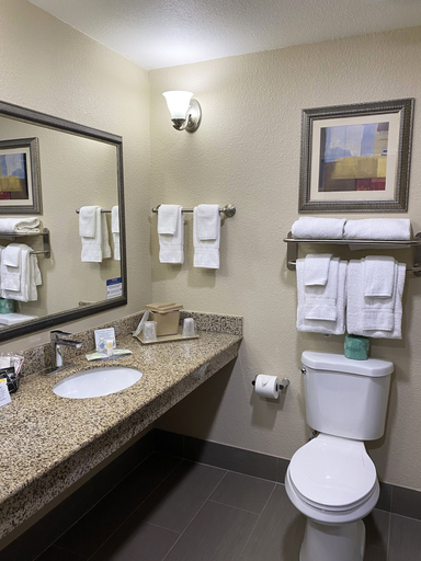 Bathroom 4, Comfort Suites Kings Bay Naval Base Area, Camden
