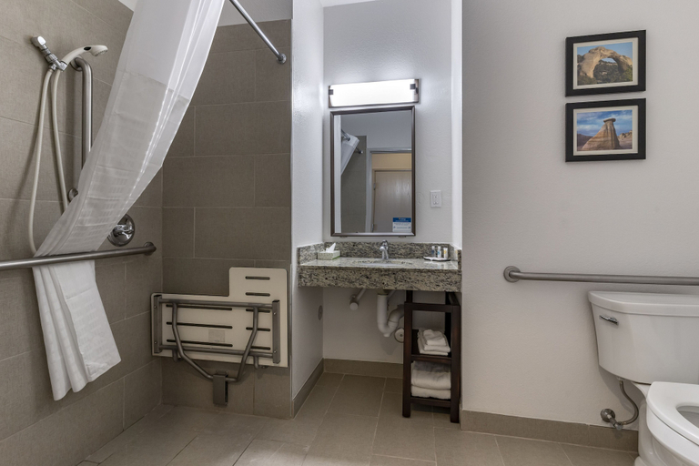 Bathroom 4, Comfort Inn & Suites Aztec - Farmington Area, San Juan