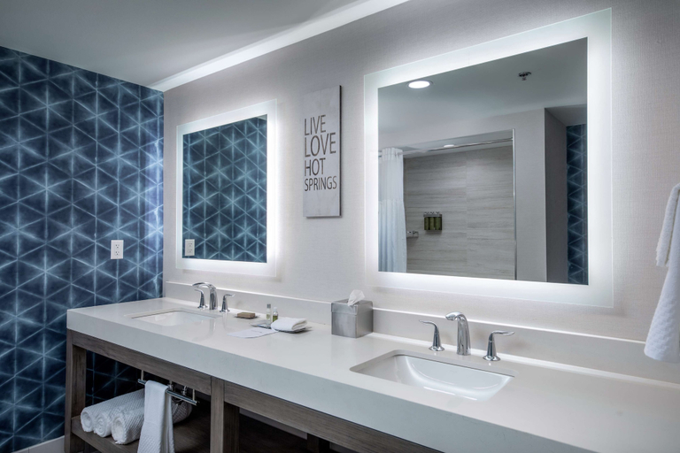 Bathroom 4, DoubleTree by Hilton Hot Springs, Garland