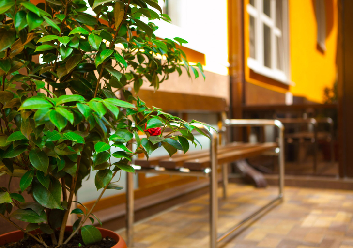 Others 5, Kamelia Hotel, Sochi gorsovet