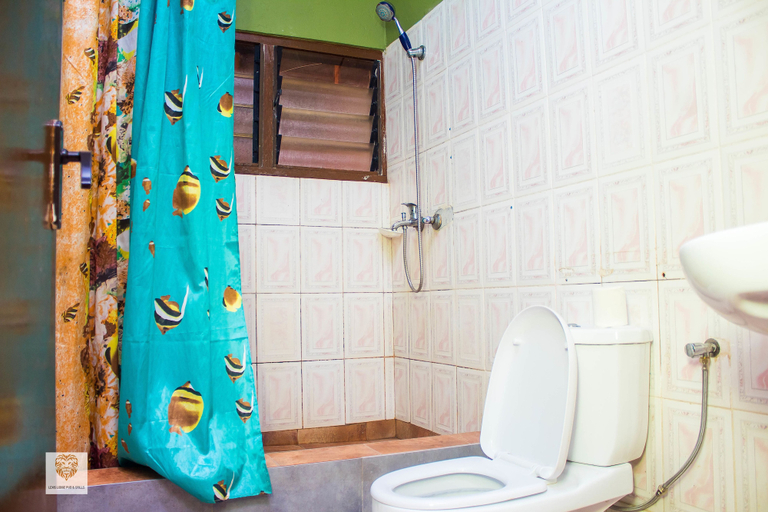 Bathroom 5, Lexis Lodge, Tema
