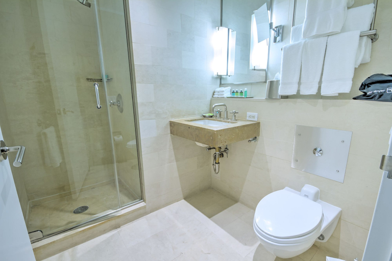 Bathroom 4, Club Wyndham Midtown 45, New York