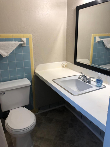 Bathroom 4, Ocala Cove Motel, Marion