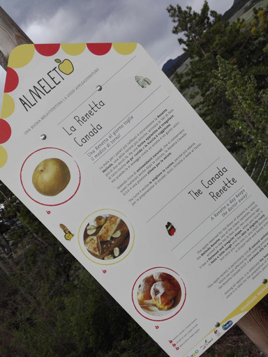 Food & Drinks 5, Agriturismo NonSoloMele, Trento