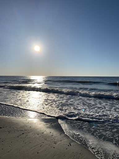 Others 5, The Caretta, Horry